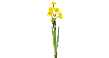 Narcissus Crailo spray yellow 50 cm kunstbloem Erutan Avon - Erutan avon