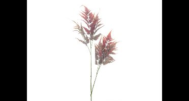 Kunsttak leather fern burgundy, 120 cm Hortus - Hortus