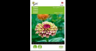 Zaden zinnia queeny red lime 25 zaden Buzzy - Buzzy