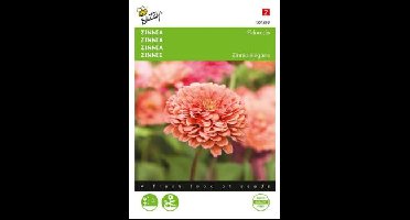 Zaden zinnia eldorado 1 gram Buzzy - Buzzy