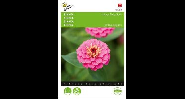 Zaden zinnia lilliput rose gem 1 gram Buzzy - Buzzy