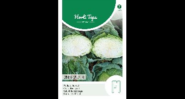Platte witte kool spring salute f1 50 zaden Hortitops - Hortitops