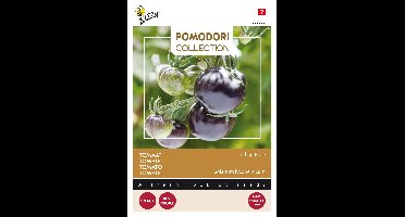 Pomodori Indigo rose (zwart) zaden Buzzy - Buzzy