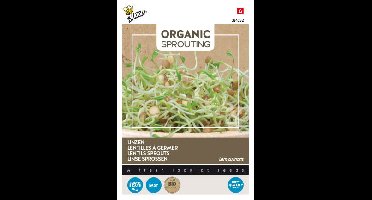 Organic Sprouting Linzen (Bio) zaden Buzzy - Buzzy