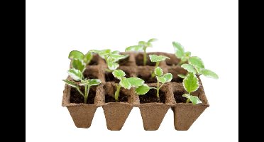 Turfpottrays H5x4x4cm set a 6 trays van 12 stuks Nature - Nature