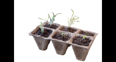Turfpottrays H5x5x5cm set a 10 trays van 6 stuks Nature - Nature