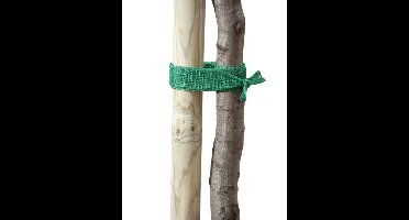 Boomband universeel l2m b4cm Nature - Nature