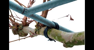 Bindbuis zwart dia. 3mmx50m Nature - Nature