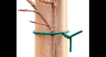 Rubberband groen met ijzeren kern dia. 6mmx5m Nature - Nature