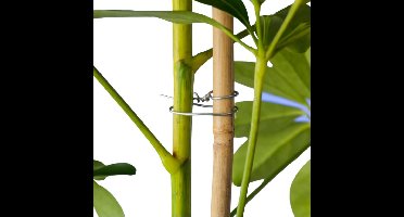 Binddraad verzinkt dia. 1,2mmx50m Nature - Nature