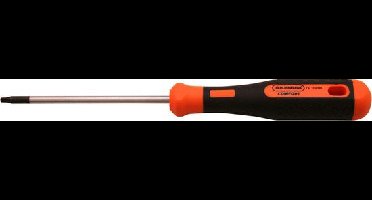 Schroevendraaier Torx10 2K Skandia - Skandia