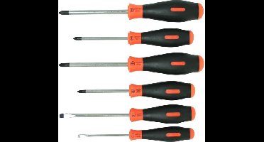 Skand schroevendraaierset 2comp 6dlg Hortus - Hortus