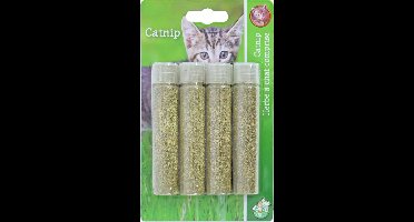 Boon catnip in tube 4 stuks Gebr. de Boon - Gebr de boon