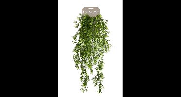 Kunstplant asparagus hanging bush 75cm kunstplant Emerald - Emerald