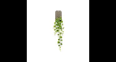 Hoya kerrii vine 90 cm kunstplant Emerald - Emerald