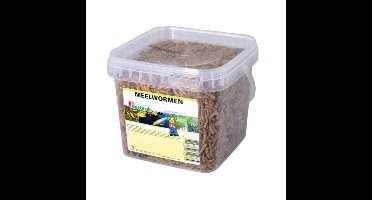 Meelwormen 1,2 liter voer Suren Collection - Suren collection
