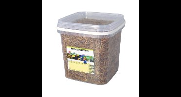Meelwormen 2,5 liter voer Suren Collection - Suren collection