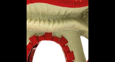 Sf mushroom house s Superfish - Superfish