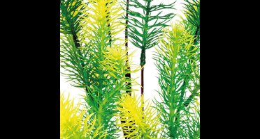 Sf art plant 40 cm myriophyllum Superfish - Superfish
