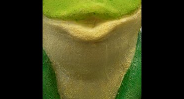 Sf deco kikker Superfish - Superfish