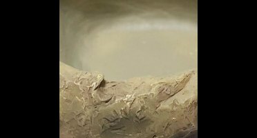 Repto Aquadistri deco waterschaal m Repto Aquadistri - Aquadistri