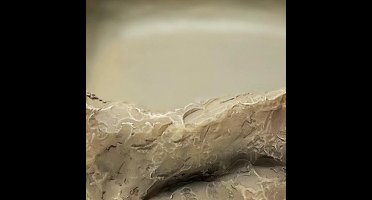 Repto Aquadistri deco waterschaal l Repto Aquadistri - Aquadistri