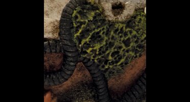 Sf bubble deco badkuip Superfish - Superfish