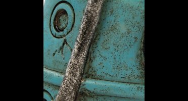 Sf bubble deco stofzuiger Superfish - Superfish