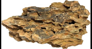 Rock dragon rock 2,8-3,5 kg Superfish - Superfish