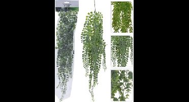 Hangplant 80 cm 3 assorti design 1stuk Nampook - Nampook