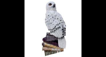 Beeld polyresin 3D Hedwig 44 cm Disney - Disney