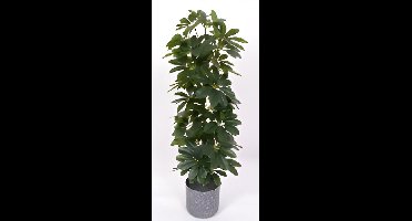 Scheffelera arboricola 90 cm kunstplant Oosterik Home - Oosterik home