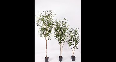 Olijfboom 120 cm kunstplant Oosterik Home - Oosterik home