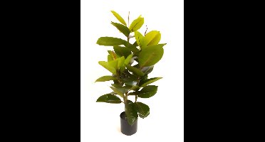 Rubberboom 90 cm kunstplant Oosterik Home - Oosterik home