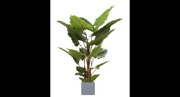 Allocasia groen 140 cm kunstplant Oosterik Home - Oosterik home