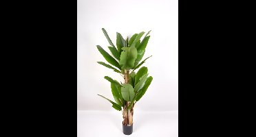 Bananenboom 180 cm kunstplant Oosterik Home - Oosterik home