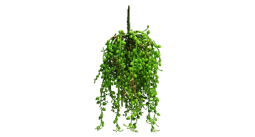 Senecio Rowleyanus hanger green 25 cm kunstbloem Erutan Avon - Erutan avon