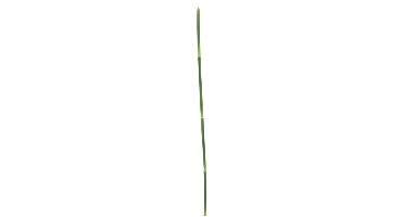Snake grass green 108 cm kunstbloem Erutan Avon - Erutan avon