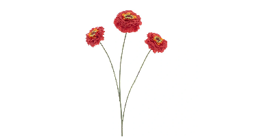 Zinnia elegans spray red 60 cm kunstbloem Erutan Avon - Erutan avon