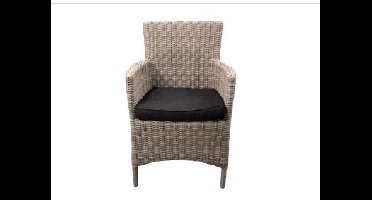 Diana Dining Stoel Incl Handgreep Off White Half Rond Wicker OWN - Own