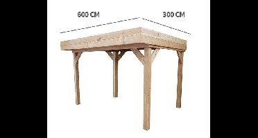 Veranda Overkapping Marcel 63, 600 cm x 300 cm Buitengewoon Boet - Buitengewoon de boet