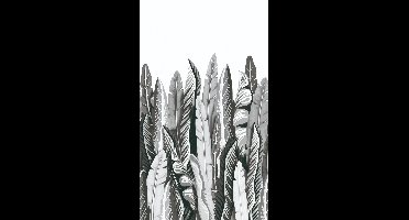 Noordwand Smart Art Easy Fotobehang grote bladeren 47207