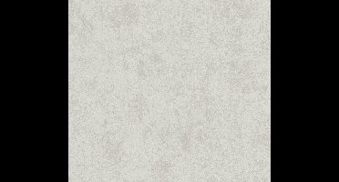 Livingwalls Profitex 2022 - Zilver - Gipslook - 389697