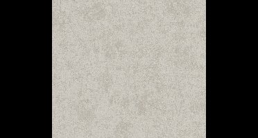 Livingwalls Profitex 2022 - Zilver - Gipslook - 389698