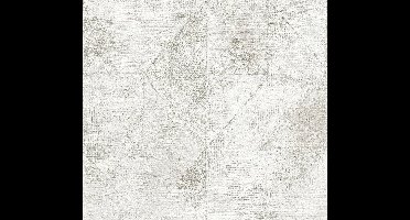 Livingwalls Profitex 2022 - Zilver - 389763