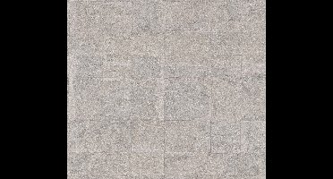 Livingwalls Stories of Life - Grijs - 396712