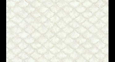 Dutch Wallcoverings Yudashkin 5 10X1,06M - Beige/Zilver