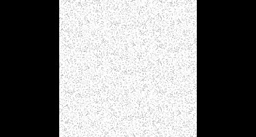 Midbec FC Angas- Marie Grey - 13131