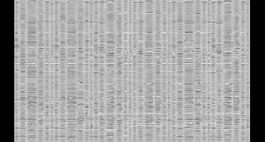 Dutch Wallcoverings Yudashkin 5 10X1,06M - Grijs/Zilver
