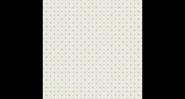 Midbec FC Apelviken- Skärhamn Lightgreen - 33025